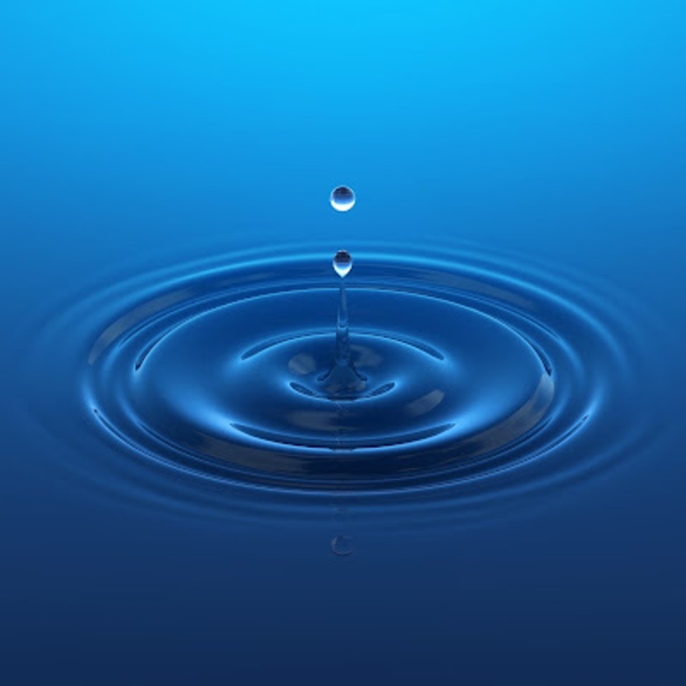 Meet your Posher, Todd